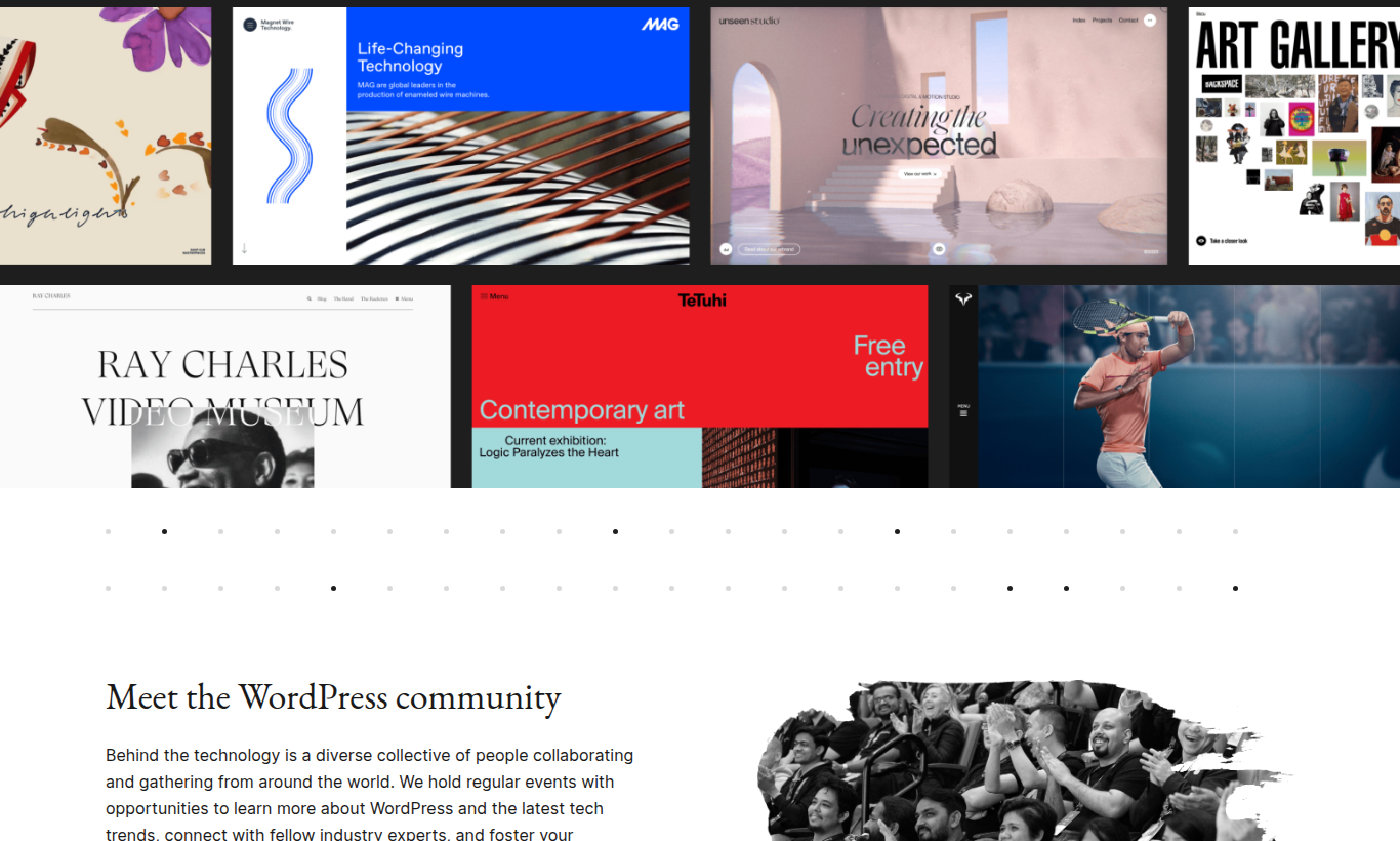 Скриншот по теме «Создание сайта на WordPress дл» — 4