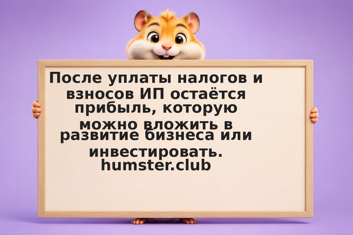 Куда вкладывать прибыль ИП: банк, ОФЗ, акции
