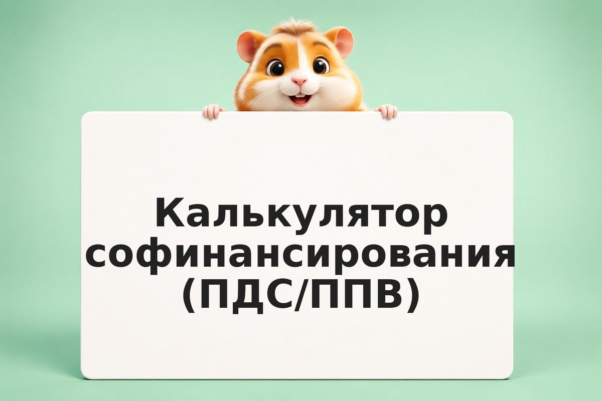 Дополнительные взносы в накопительную пенсию самостоятельно