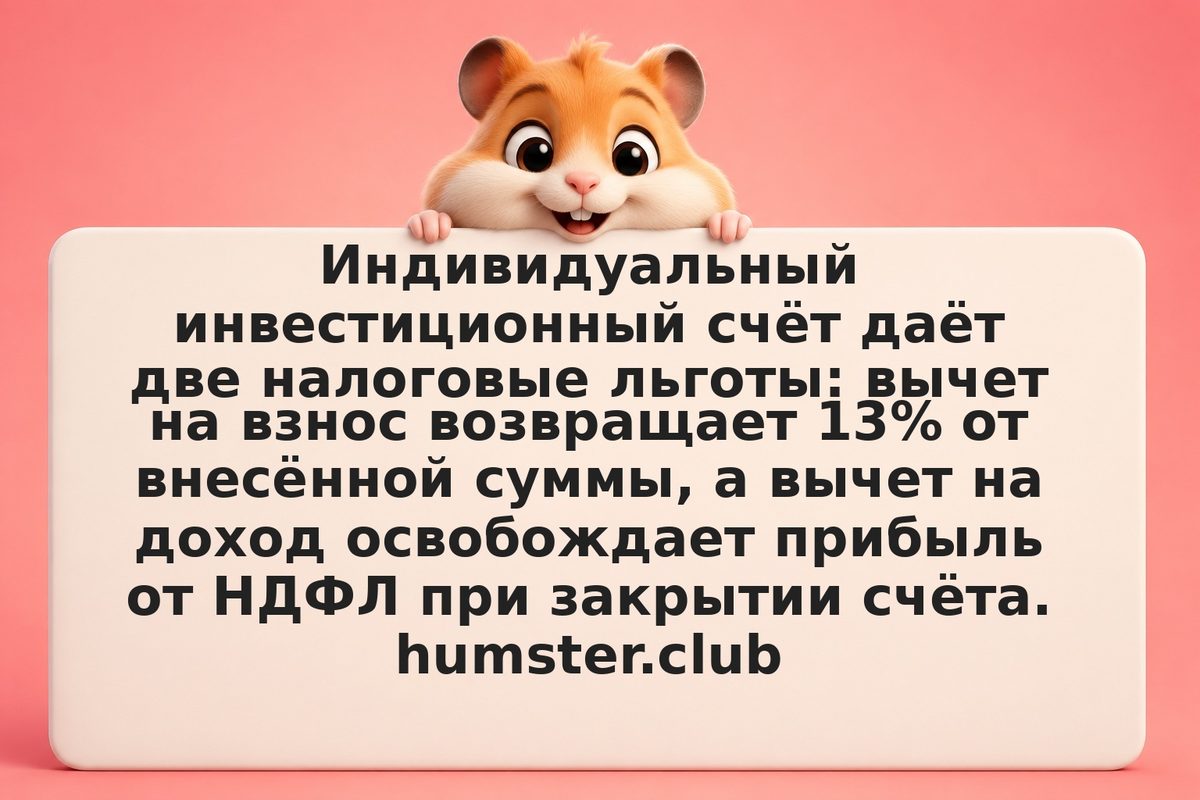 Вычет на взнос и на доход ИИС: что выбрать
