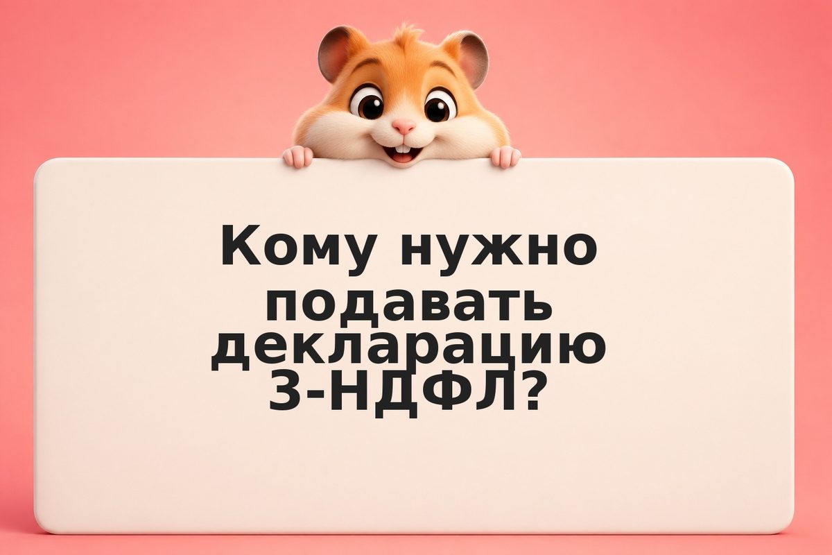 Как заполнить декларацию 3-НДФЛ онлайн