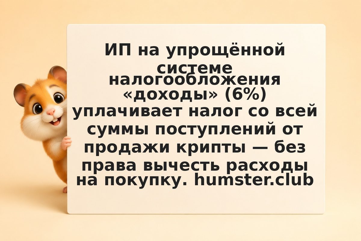 ИП УСН 6% и криптовалюта: налог без вычета расходов