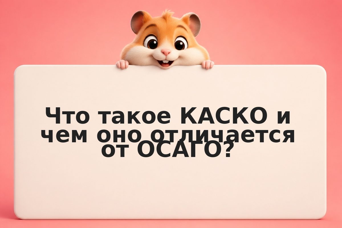 КАСКО что входит: добровольное страхование авто