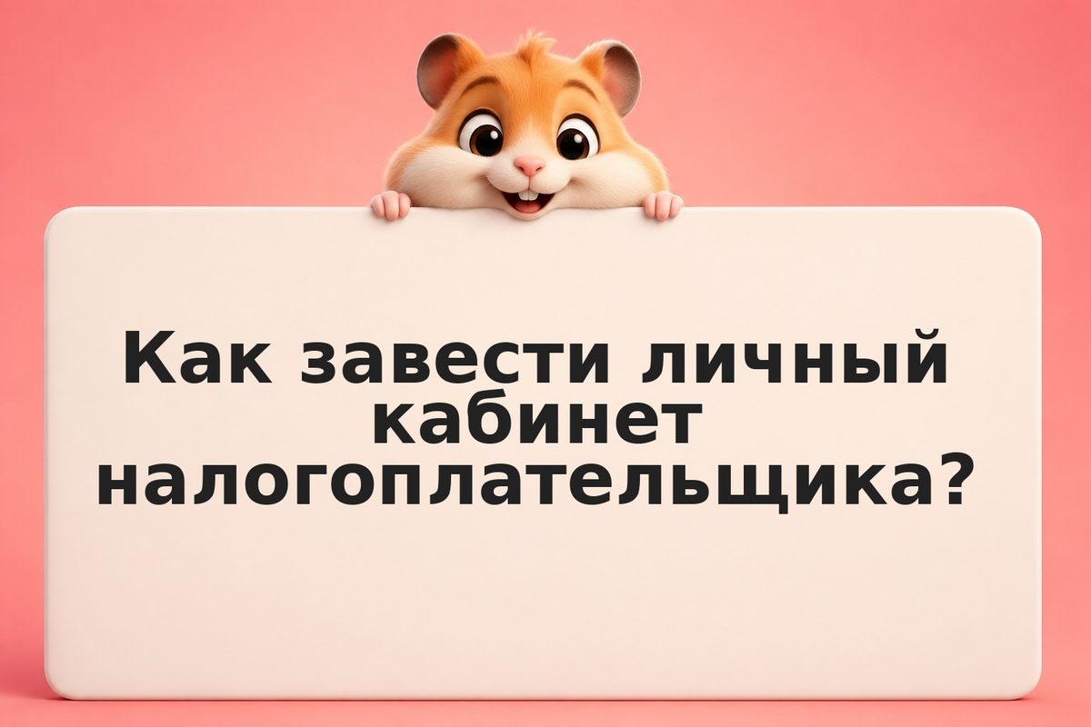 Личный кабинет налогоплательщика: что там делать