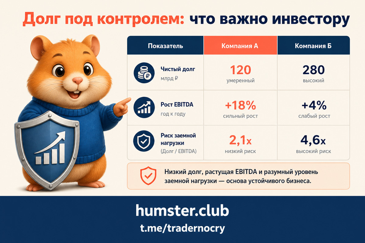 Net Debt/EBITDA