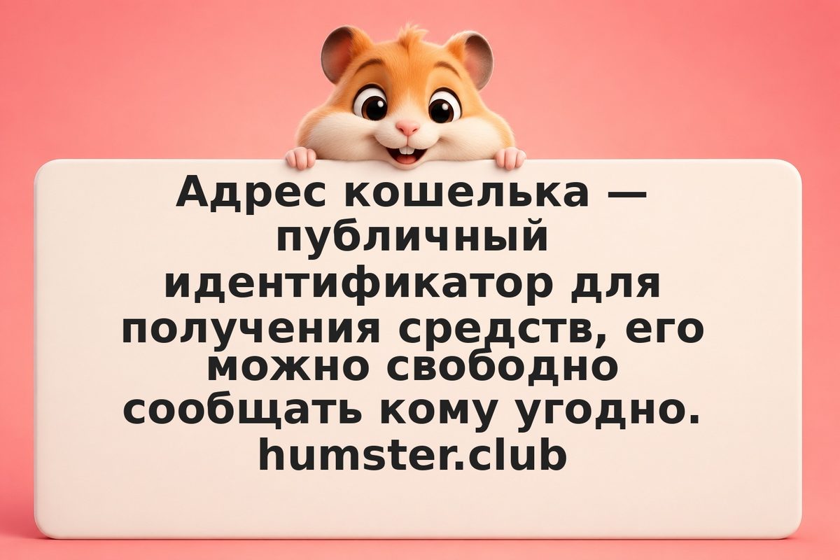Приватный ключ vs. адрес кошелька: главное различие и почему ключ нельзя раскрыв