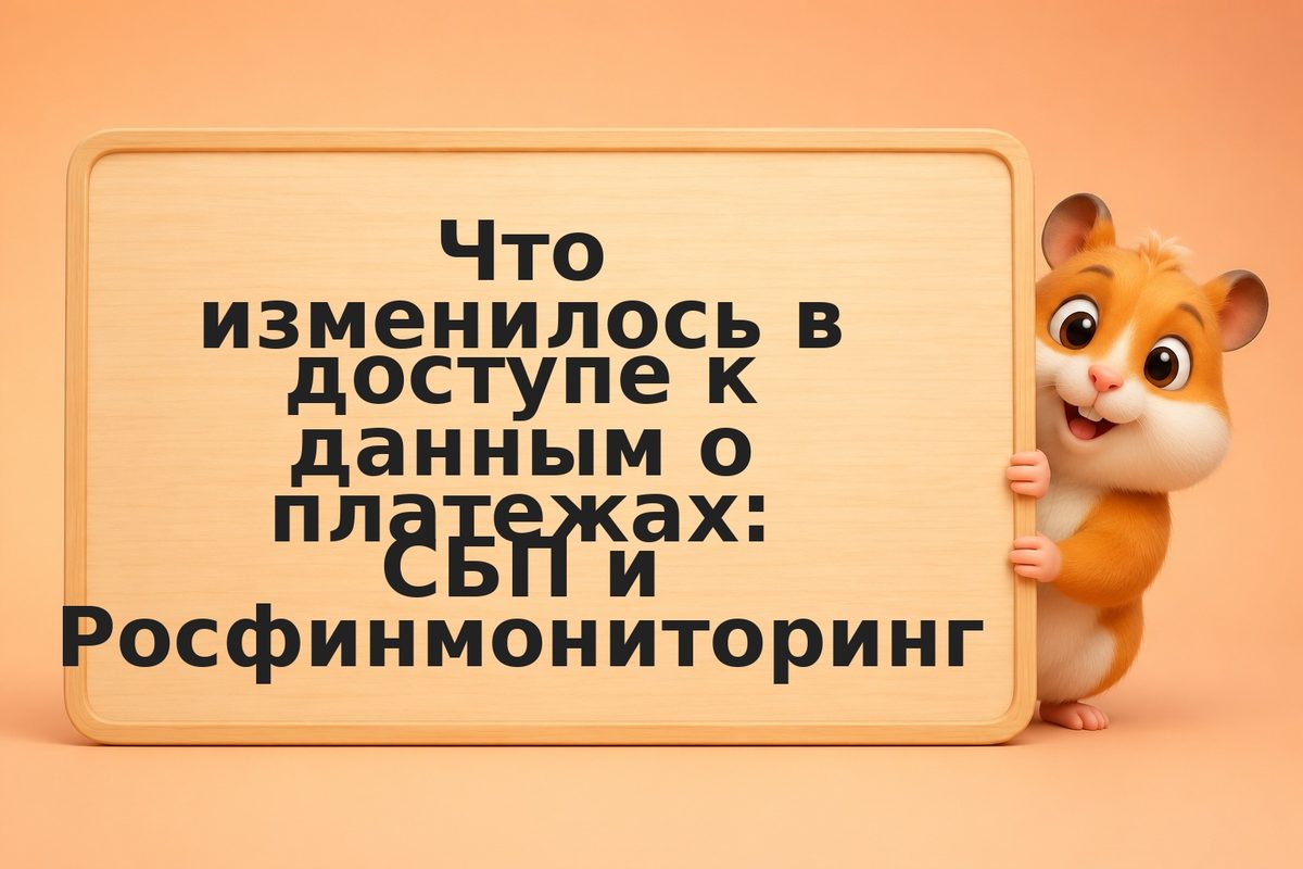 Что изменилось в доступе к данным о платежах: СБП и Росфинмониторинг
