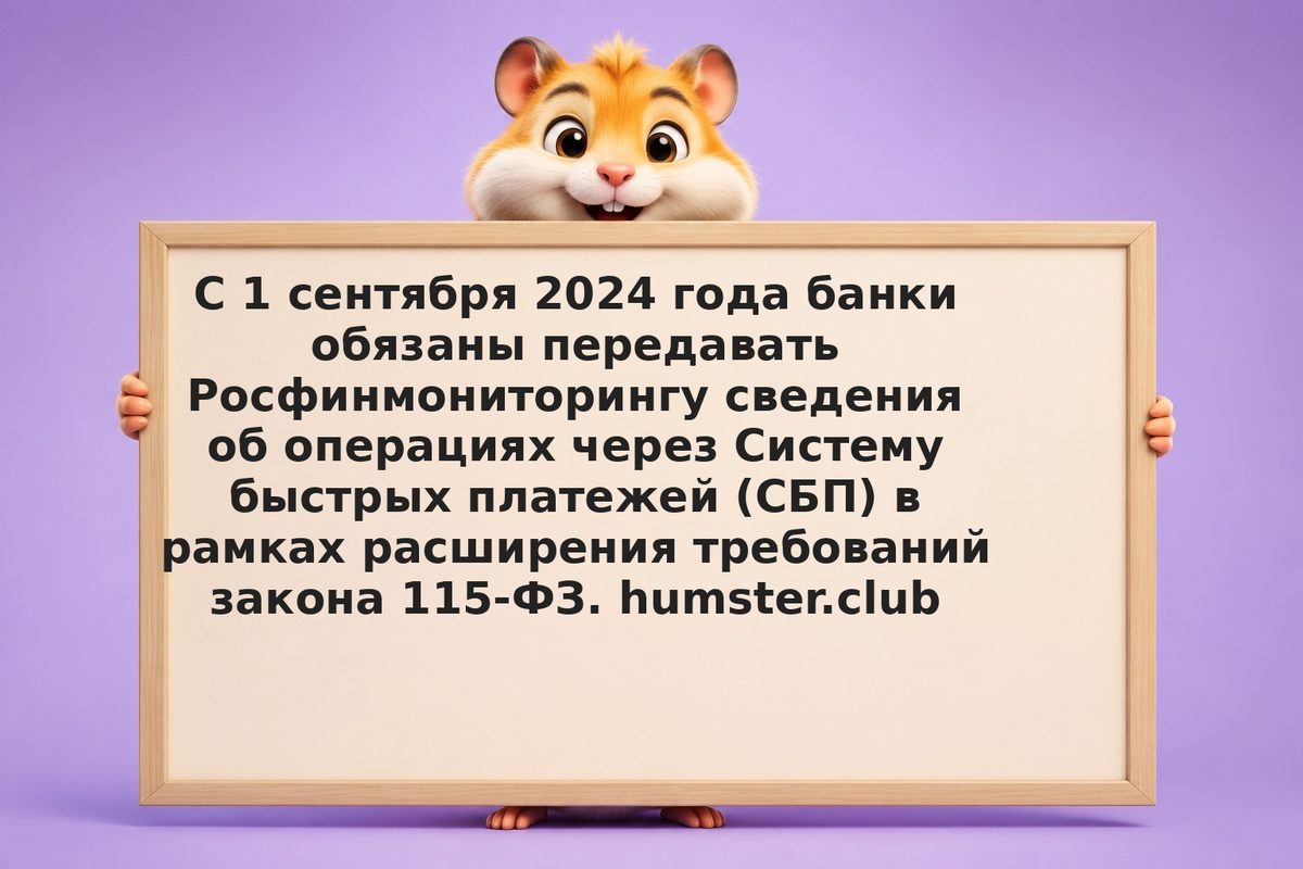 Что изменилось в доступе к данным о платежах: СБП и Росфинмониторинг