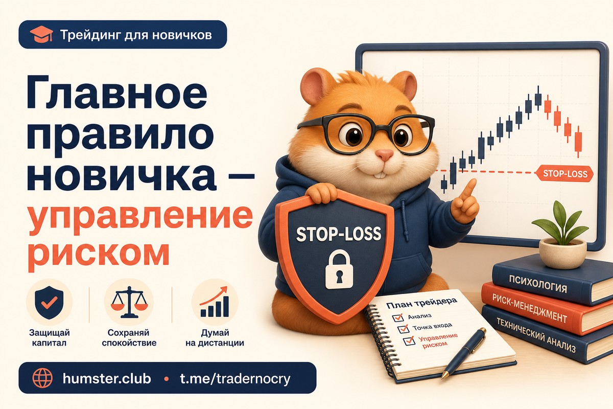 Трейдинг для начинающих: пошаговый алгоритм
