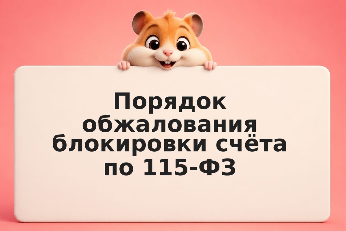 Порядок обжалования блокировки счёта по 115-ФЗ